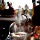 가스펠리아 이미지