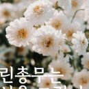 충무 행정사 이미지