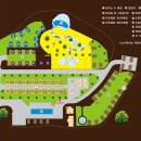 동강자연속으로 이미지