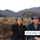 임영석농장 네이버블로그