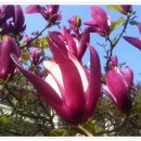 이리여자고등학교 이미지