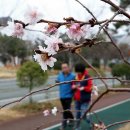 입춘허브 이미지