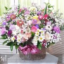 플라워 오브 아리엘 이미지