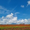 화강펜션 이미지