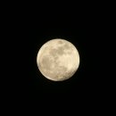 보름 - 용인시 처인구 금령로85번길 7 | 보름