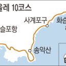 하모리-16 이미지