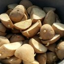 창식농장 이미지