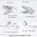 여름철 산행 유의사항 이미지