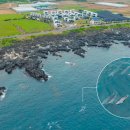 운스테이 이미지