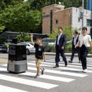 구성파출소 앞 횡단보도 이미지