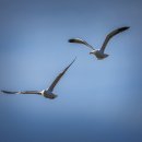 스마일행정사 사무소 이미지