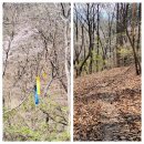 보은삼거리 이미지