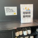 홍대 방탈출 딥띵커 힐링 감성 테마 옹이의 꿈, 고양이가 세상을 구한다.