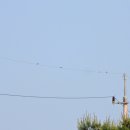 낙동강변23 네이버블로그
