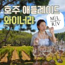 The Old Oak | 호주 와인 투어 | 애들레이드 힐스 MLRV 와이너리 화이트와인 게뷔르츠트라미너 소비뇽블랑