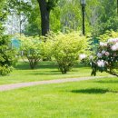 하이연세산부인과의원 이미지