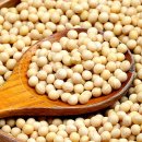 채운영농조합법인 이미지