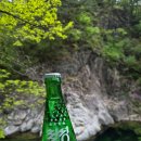 맑은물소리 이미지