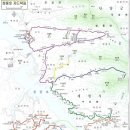 금화고속관광 이미지