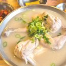 진주맛집, 삼계탕 언양닭칼국수 가호점