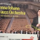 2024 신년음악회 | [짧은 후기] 2024 ACI 신년음악회, '비엔나 요한 슈트라우스 오케스트라'