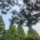 대화역3번출구약국 이미지