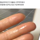 고기마니밥마니 | 2025:ㅈ대바라이뇨나 알디원,아일릿,하투하:이리와..마니힘들엇지?