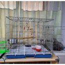 조만호안마원 이미지