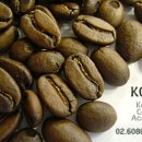 커피 바리스타 2급(자격B) 이미지