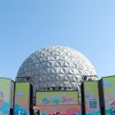 경희대 대영 태권도장 이미지