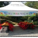 명덕 관광농원 이미지