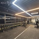 지니월드짐 이미지