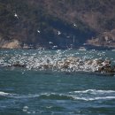 소쿠리섬1 이미지