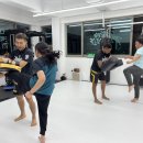 센텀강변 싸이코핏불스 이미지