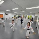 튼튼한 용인대 태권도장 이미지