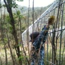 곤이 농장 이미지