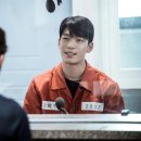 박진 | 샤크 더 스톰 후기 결말, 부레가 없는 상어의 끊임없는 성장