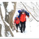 한일맛집 이미지