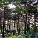 국립자연휴양림관리소 칠보산 자연휴양림 이미지