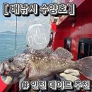 [인천 데이트 추천] 배낚시 수양호 | 연안부두 우럭 광어 바다 낚시 체험 단골후기 | 내돈내산