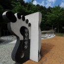 낭천산림욕장 네이버블로그