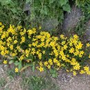 평안꽃식물원 이미지