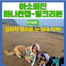 강아지 모자 강아지 썬캡 아소비진 추천 강아지 눈 건강 지키는 방법