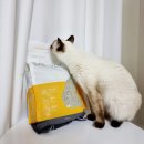 (주)랩토피아 이미지