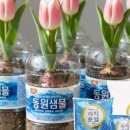 용토농장 이미지