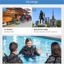 에스케이제이