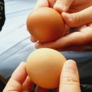 인주한방병원 | 자궁경부 원추절제술 자궁경수술 용종제거 전신마취 함