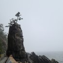 해파랑길(제25구간) 이미지