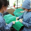 계양치과의원 이미지