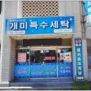 개미특수세탁 이미지